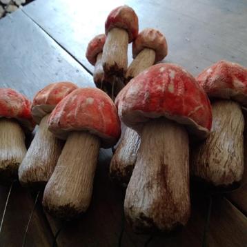 Prachtige vintage paddenstoelen papier-mâche  beschikbaar voor biedingen