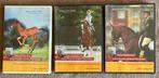 3 dvd’s Klaus Balkenhol part 1/2/3 engelstalig dressuur, Ophalen, Zo goed als nieuw, Dressuur