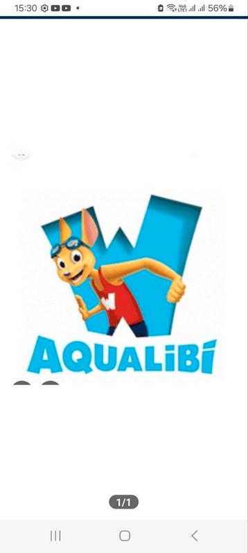 2 Tickets Aqualibi Valable jusqu'au 04/01/2026, Tickets & Billets, Loisirs | Parcs d'attractions