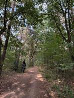 Opzoek naar een wei te huur regio heusden-zolder, Dieren en Toebehoren