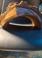 Houdt van terrarium, Dieren en Toebehoren, Ophalen