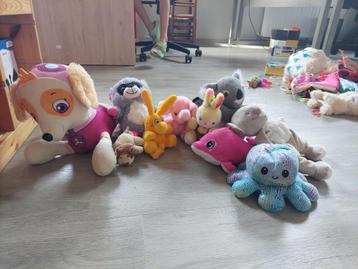 Knuffels beschikbaar voor biedingen