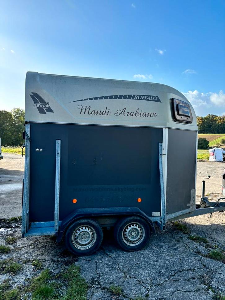 Van Henra PTN20 - 2 chevaux, Dieren en Toebehoren, Paarden en Pony's | Trailers en Aanhangwagens, Gebruikt, 2-paards trailer, Hout