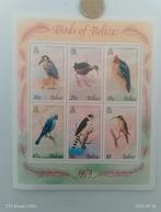 Tampon animalier oiseaux, Enlèvement ou Envoi