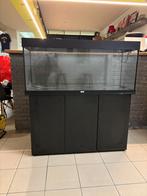 Juwel 350 Rio - Aquarium (mag snel weg), Ophalen, Zo goed als nieuw