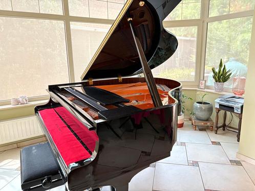 Vleugelpiano Doutreligne Boudoir, Muziek en Instrumenten, Piano's, Gebruikt, Vleugel, Zwart, Hoogglans, Ophalen