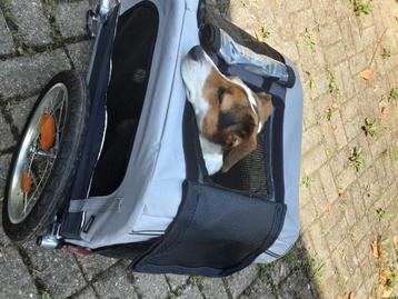 Accessoires pour chien, Enlèvement, Comme neuf
