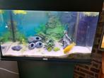 Aquarium Compleet met kast en toebehoren, Dieren en Toebehoren, Ophalen, Zo goed als nieuw