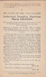 Oorlogsslachtoffer 1940-1945 Ludovicus Haagen Poppel, Ophalen