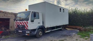 Paardencamion