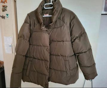 Veste hiver thermolactyle beschikbaar voor biedingen