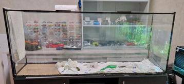 grote stevige bak van 1m50 lang als terarium  beschikbaar voor biedingen