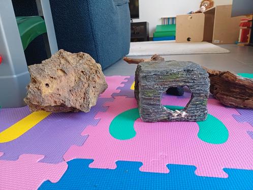 Terrarium onderdelen, Dieren en Toebehoren, Reptielen en Amfibieën | Toebehoren, Ophalen