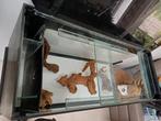Aquarium met meubel, Dieren en Toebehoren, Vissen | Aquaria en Toebehoren, Ophalen