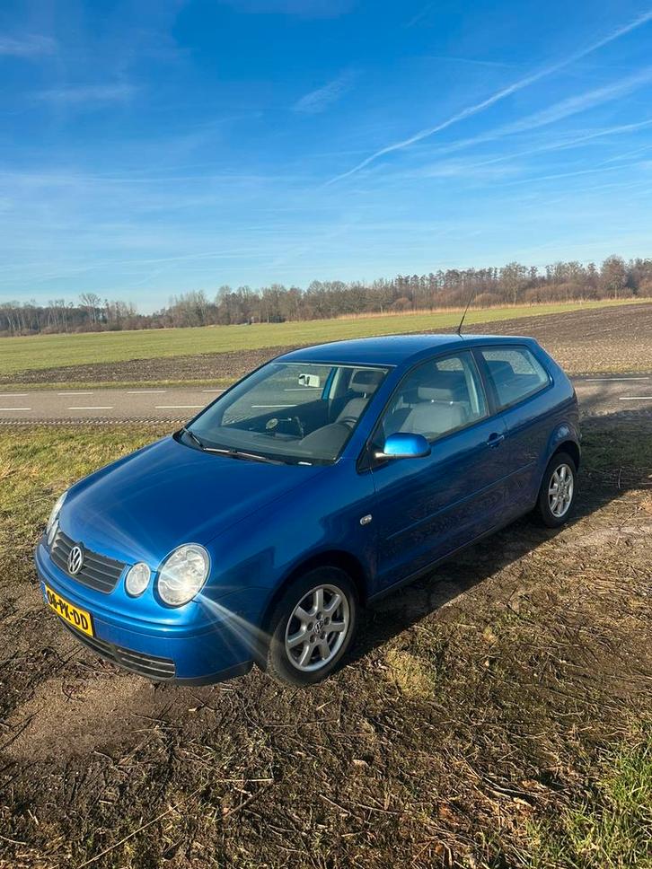 Volkswagen polo 1.4, Autos, Volkswagen, Entreprise, Polo, Cruise Control, Enlèvement