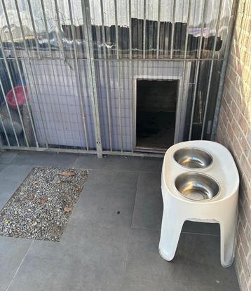 Hondenhok, Enlèvement, Niche à chien