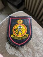 Civiele bescherming, Ophalen of Verzenden, Landmacht, Embleem of Badge