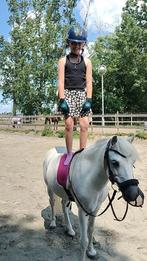 Pony A kinderpony, Dieren en Toebehoren, Paarden, Ruin, B