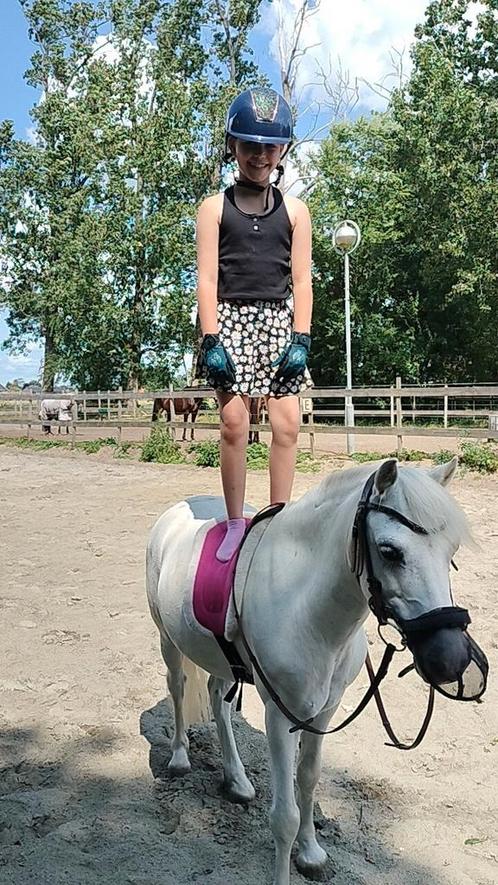 Pony A kinderpony, Dieren en Toebehoren, Paarden, Ruin, B