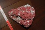 groot rood koraal orgelpijp 23cm deco badkamer, Verzamelen, Mineralen en Fossielen, Schelp(en), Ophalen of Verzenden