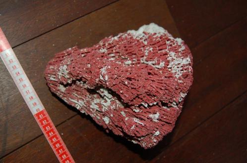 groot rood koraal orgelpijp 23cm deco badkamer, Collections, Minéraux & Fossiles, Coquillage(s), Enlèvement ou Envoi