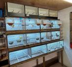 Kweekkooien voor vogels., Enlèvement, Utilisé, Bois, Cage d'élevage