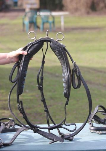 Trektuigje voor pony en shetlander beschikbaar voor biedingen