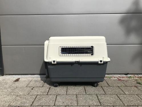 Grote reismand/transportbox voor katten of kleine honden, Dieren en Toebehoren, Transportboxen, Gebruikt, Ophalen