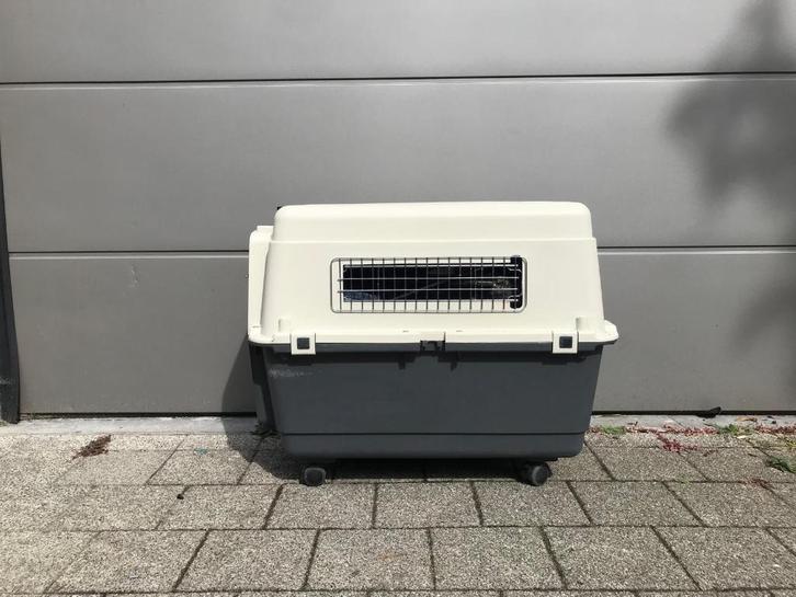 Grote reismand/transportbox voor katten of honden XXL, Dieren en Toebehoren, Transportboxen, Gebruikt, Ophalen