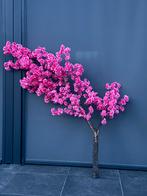 Bloesemboom, Ophalen, Nieuw, Binnen