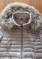 Barbara Lebek donsjas, Kleding | Dames, Jassen | Winter, Ophalen of Verzenden