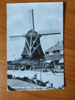 Postkaart Nederland Haaksbergen Molen de Korenbloem 8257, Ophalen of Verzenden