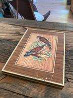 Collection Vintage Box Cookie General Biscuit Company Birds, Verzamelen, Blikken, Ophalen of Verzenden