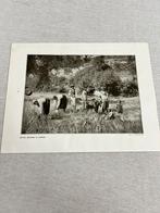 native harvest reapers in cyprus antiek picture print 1906, Verzamelen, Foto's en Prenten, Ophalen of Verzenden, Zo goed als nieuw