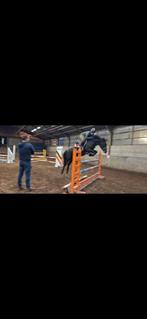 Aparte spring pony, Dieren en Toebehoren, Ruin