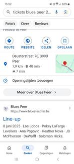 Blues Peer 2 tickets zondag 8 juni