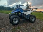 DINLI 50Cc 2-temps, Motoren