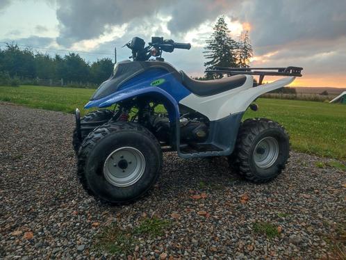 DINLI 50Cc 2-temps, Motoren, Quads en Trikes, Ophalen
