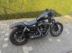 HARLEY - IRON 883 - XL2 - Motorfiets, Motoren, Bedrijf, Overig, HARLEY