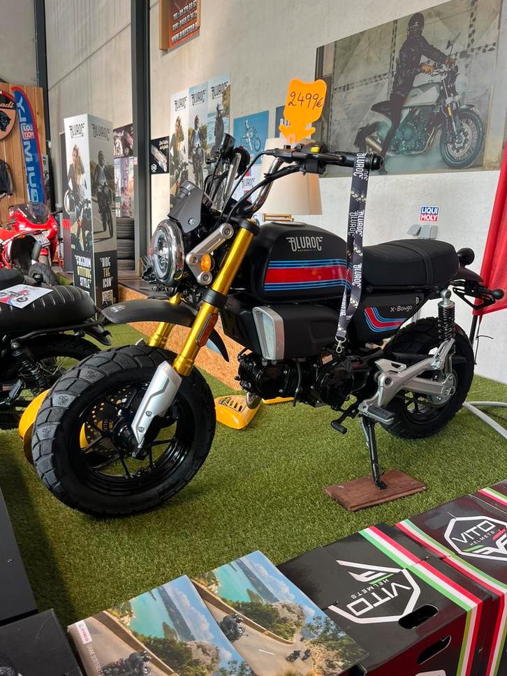 Bluroc X Bongo 50 en 125 cc New 2025 model, Fietsen en Brommers, Brommers | Overige merken, Nieuw, Klasse B (45 km/u), Ophalen
