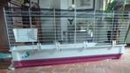 Grote kooi Ferplast krolik in heel goede staat, Enlèvement, Utilisé, Cage, Cobaye