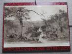 Ets - Gravure 1890 E.C. Rost New-York Woodland Cascades, Antiek en Kunst, Verzenden