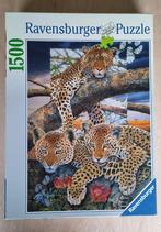 4 leuke puzzels van dieren, Ophalen of Verzenden