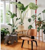 VITRA EAMES LCW CHAIR BY CHARLES AND RAY EAMES, Maison & Meubles, Chaises, Enlèvement, Noir, Bois