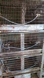 Cages à lapins en béton