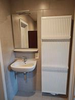 Radiator met thermostatische kraan en aansluiting, Ophalen, Zo goed als nieuw, Radiator