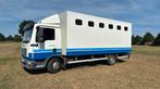 Zeer mooie paardenvrachtwagen MAN, Ophalen, Gebruikt, Overige typen