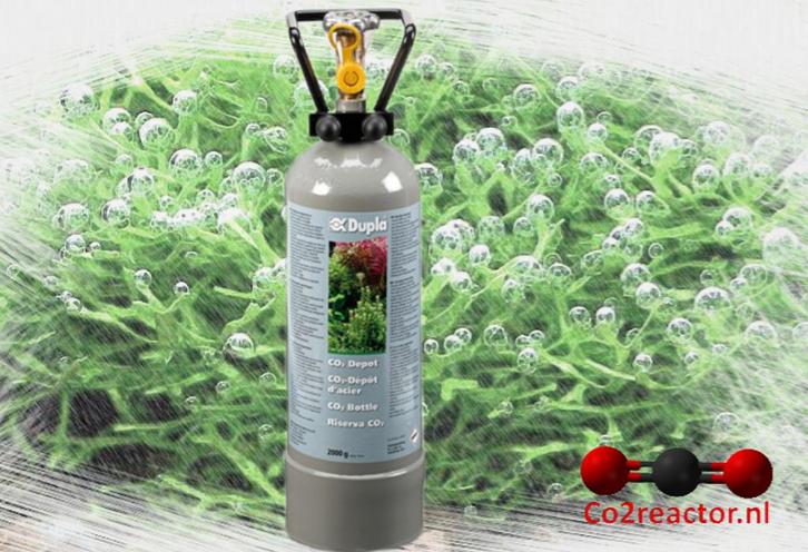Dupla CO2 Depot 2000gr cilinder, Dieren en Toebehoren, Vissen | Aquaria en Toebehoren, Nieuw, Filter of Co2, Ophalen of Verzenden