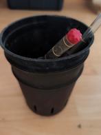 Hydro potjes met meter, Ophalen, Gebruikt