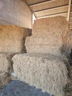 Hooi te koop, Enlèvement